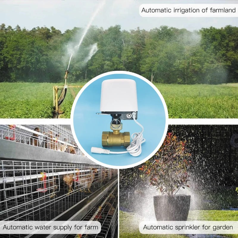 Smart Water Valve Controller WiFi Zigbee